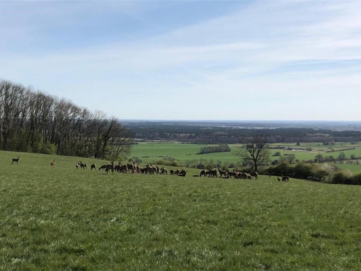 Cosy Lincs Wolds In Picturesque Holiday home Tealby